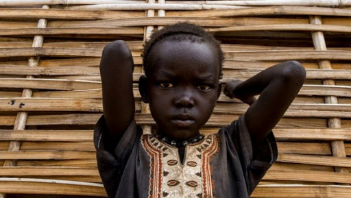 Insécurité alimentaire: plus de 56 millions de personnes touchées à cause des conflits