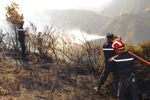 La plupart se sont déclarés dans le nord du pays/ Incendies : 8 000 foyers depuis le début de l’été