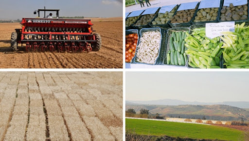 La résorption de la jachère, un pas vers l’autosuffisance alimentaire pérenne