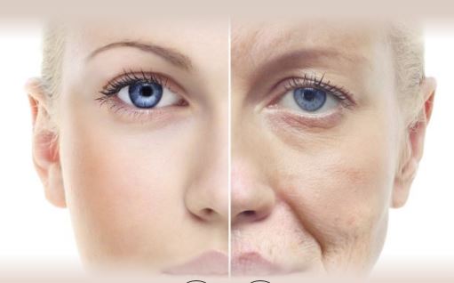 Le rêve devient réalité : Traitement pour Bloquer la vieillesse et augmenter l’espérance de vie