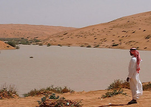 L’insécurité du monde arabe dans le domaine de l’eau