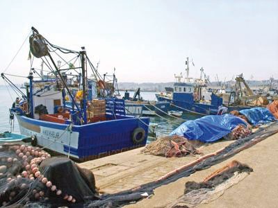 Mostaganem: La poissonnerie de la Salamandre inexploitée depuis sa livraison