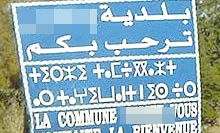 Nouvelle ville Ali-Mendjeli à Constantine: Environ 600 plaques publicitaires illicites