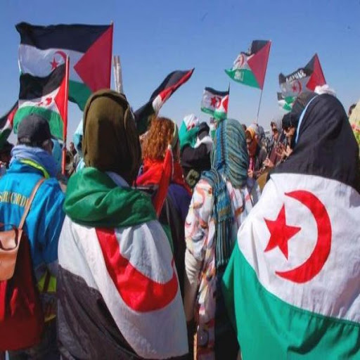 Participation d’une délégation du Conseil de la nation aux travaux du congrès extraordinaire du Front Polisario