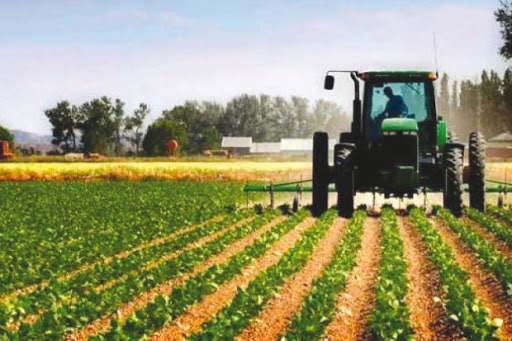 Politique de diversification économique Place à l’investissement privé dans le secteur agricole algérien