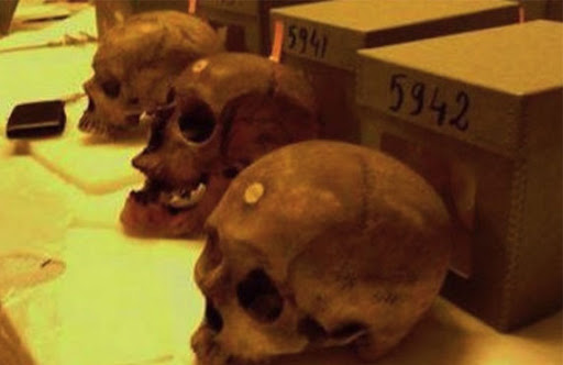 Restitution à l’Algérie des crânes des résistants algériens : L’appel de 16 historiens et intellectuels