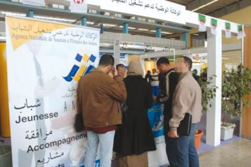 Sétif: Les jeunes diplômés se forment à la création d’entreprises dans les TIC