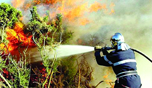 Sidi Bel Abbès: Un incendie ravage la forêt de Tighalimet