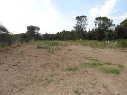 TISSEMSILT : Où en est l’opération lots de terrains à usage d’habitation ?