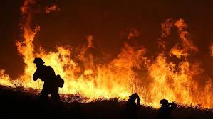 Tizi Ouzou : 42 incendies parcourent 64 ha de couvert végétal dont 42 ha de broussaille