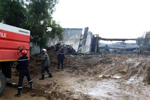 Tizi-Ouzou : plus d’une centaine de bovins sauvés d’un incendie à Fréha