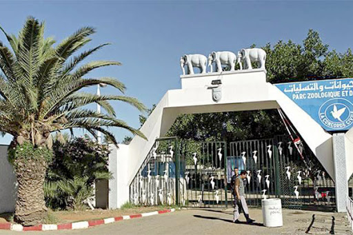 Un tigre s’attaque à un enfant au parc zoologique de Ben Aknoun