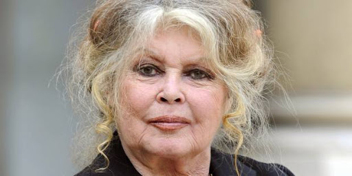 Vague de terrorisme en France: Brigitte Bardot insulte les musulmans!