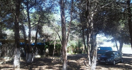 Volonté renouvelée pour un partenariat stratégique, gagnant-gagnant, sino-africain