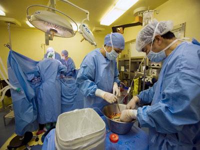 La greffe sur donneur cadavérique en point de mire