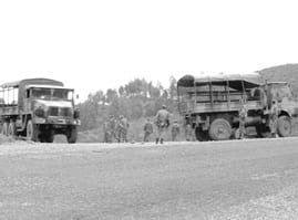 2 terroristes abattus et 7 autres arrêtés à Jijel et Skikda