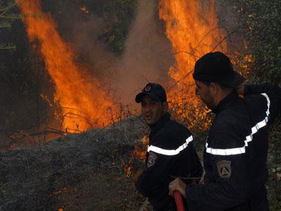 23 nouveaux feux de forêt en 24 heures