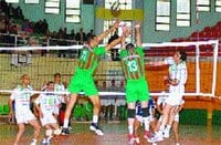 42e Finale de la coupe d’Algérie de Volley- Ball