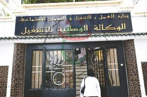 Agence de l’emploi de Ouargla: 25 252 inscrits enregistrés durant le 1er semestre 2016