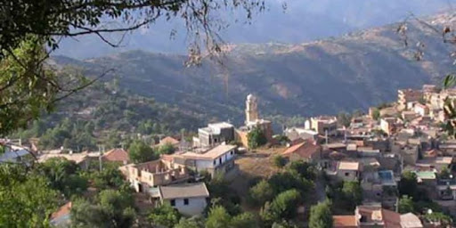 Ain Temouchent : Saisie de 26,5 quintaux de feuilles de tabac