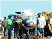 Algérie : 1,5 million d’enfants employés clandestinement