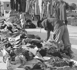 Algérie Economie : 3 milliards de dollars de blanchiment d’argent