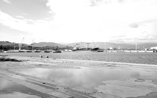 Algérie Economie : Djendjen, futur grand port national