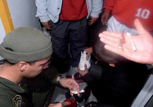 Algérie : La consommation du cannabis a quadruplé