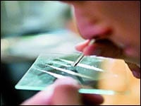 Algérie : La Jet-Set avide de cocaïne