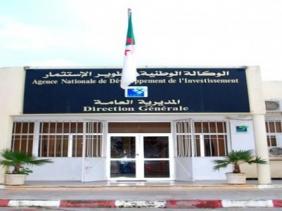 ANDI: Près de 160 projets d’investissement validés à Ouargla