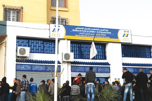 Ansej n’est pas qu’échec à Bouira :Les “success stories” de trois entrepreneurs