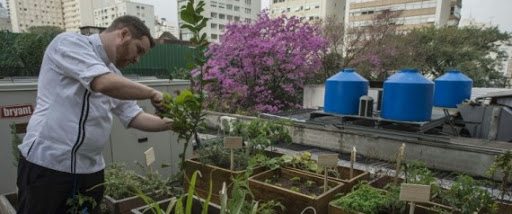 Au Brésil, les détritus des restaurants alimentent leurs propres potagers