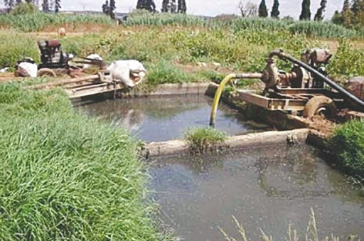 Bordj Bou-Arréridj :L’irrigation avec des eaux usées, un danger pour la santé publique