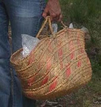 Campagne contre les sacs plastiques sur les réseaux sociaux: « Reprenez vos couffins! »