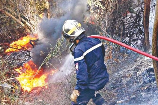 Chlef: Impliquer le citoyen dans la lutte contre les feux de forêts