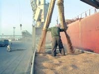 Commercialisation d&rsquo;importantes quantités de semences de mauvaise qualité