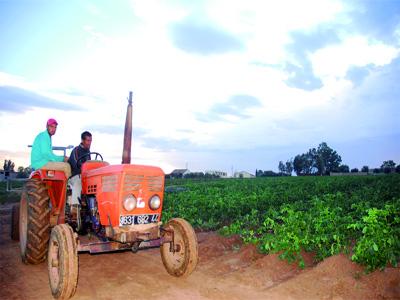 Crédit agricole, de nouvelles mesures d’octroi mises en place