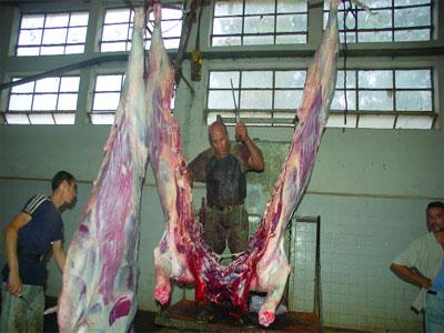 Des viandes rouge et blanche à des prix concurrentiels