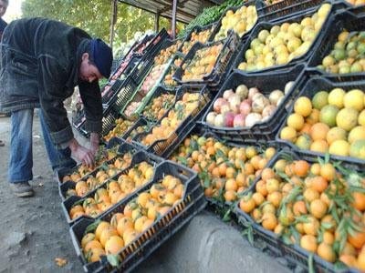 Echec de l’expérience d’exportation des agrumes