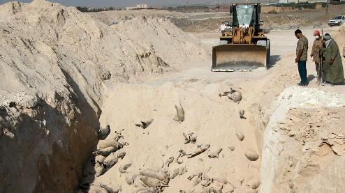 Egypte : Le massacre des porcs provoque une indignation générale