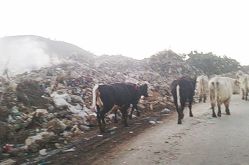 Elle représente un risque sur la santé publique Collo : incinération nocturne à la décharge publique