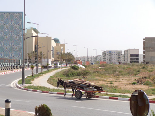 En dépit de leur interdiction depuis une dizaine d’années dans le tissu urbain: Retour en force des véhicules hippomobiles