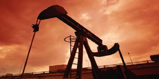 Energie : Les pays membres de l’Opep ont perdu 46% de leurs revenus en une année