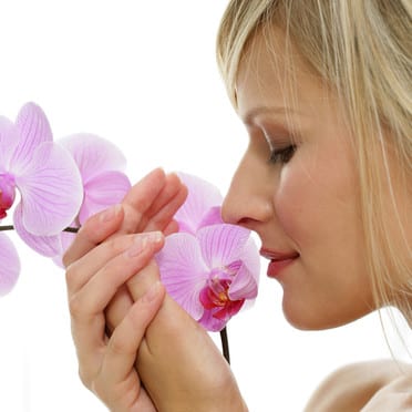 Entretenir une orchidée