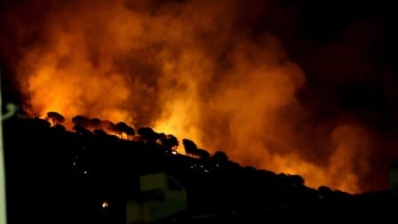 Espagne : 1.500 hectares de forêt ravagés pas un incendie