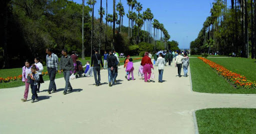 Faute de moyens, de nombreuses familles s’y résignent: Vacances à… Alger