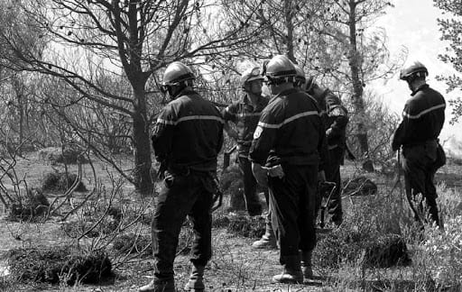Feux de fôret à Mila, Batna et Oum el-bouaghi
