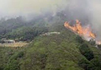 Feux de forêt : Prés de 6.000 ha dévastés depuis le 1er juin