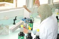 Filières scientifiques et techniques : Une année préparatoire en langue française ?