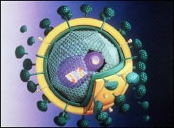 France : Des chercheurs découvrent une nouvelle forme de VIH